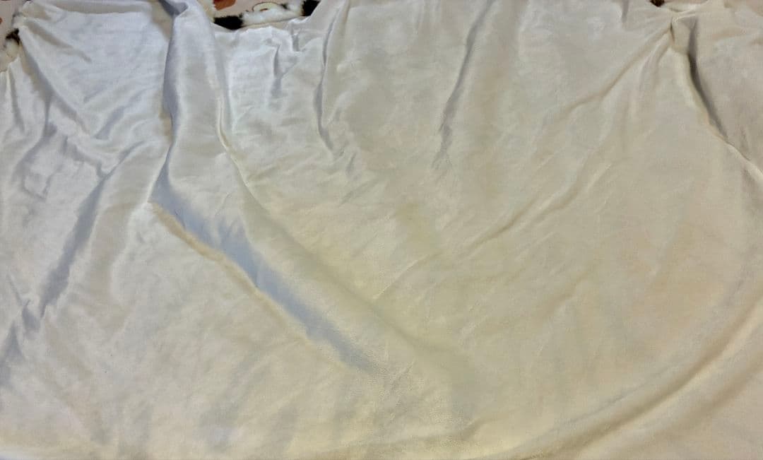 虎　トラ　タイガーマット　フロアマット　敷物　カーペット　絨毯　匿名配送