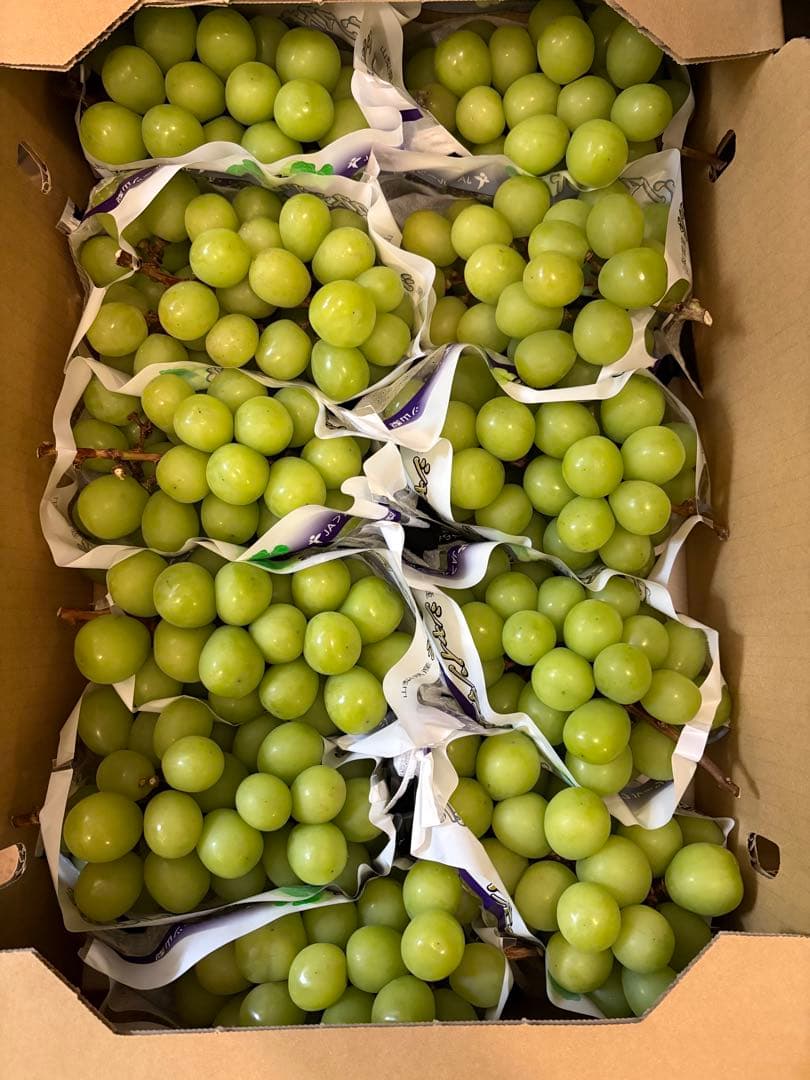 山梨県産　シャインマスカット　11房セット 5kg