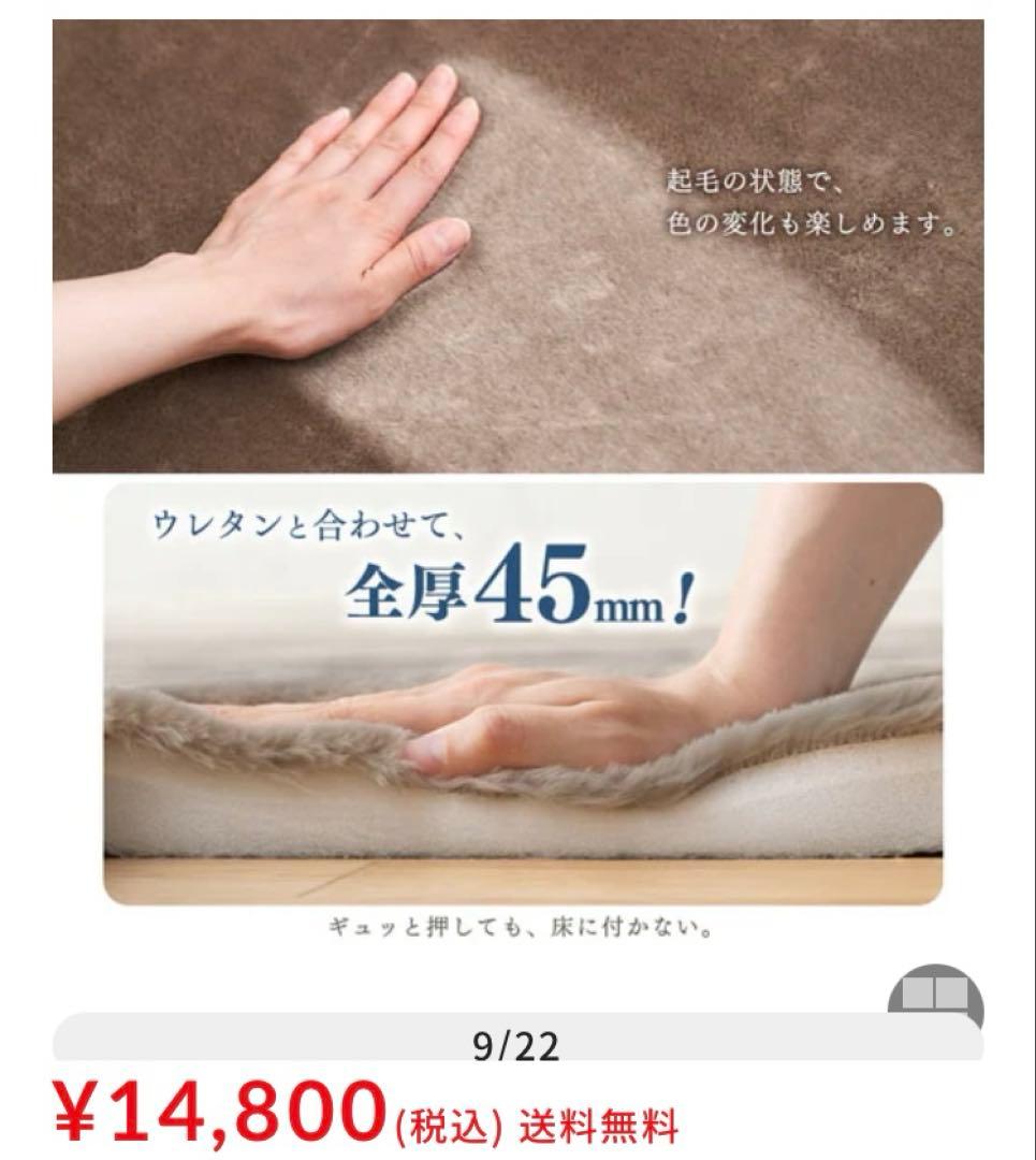 クッションラグ