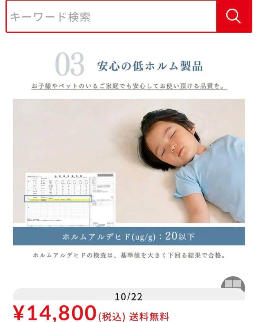 クッションラグ