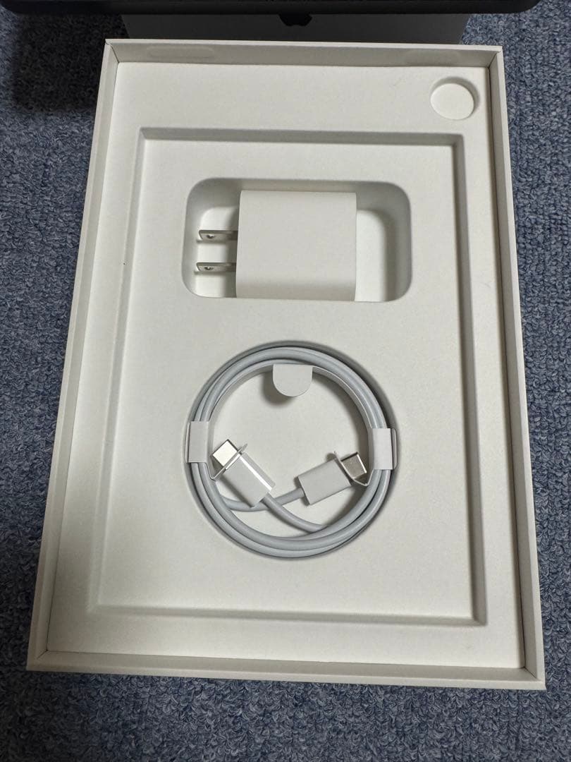 Apple iPad mini 第6世代　64GB バッテリー容量100%