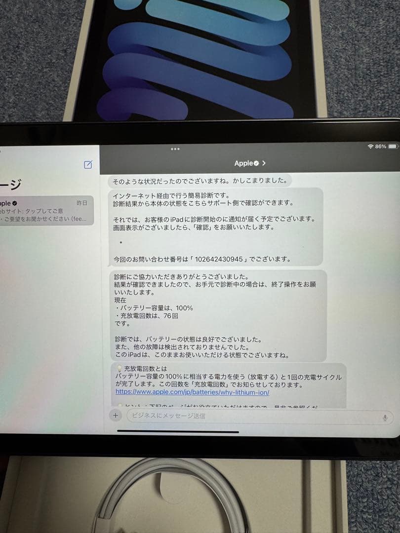 Apple iPad mini 第6世代　64GB バッテリー容量100%