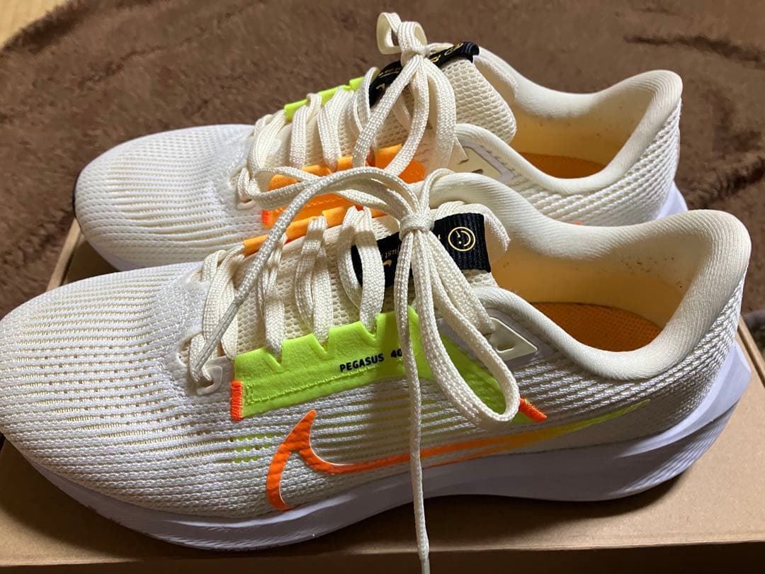ナイキ　ペガサス40 【25cm】