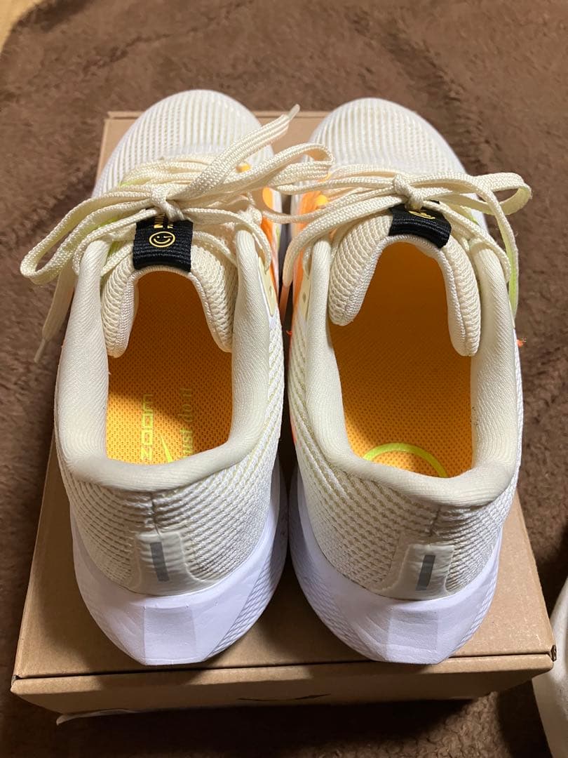 ナイキ　ペガサス40 【25cm】