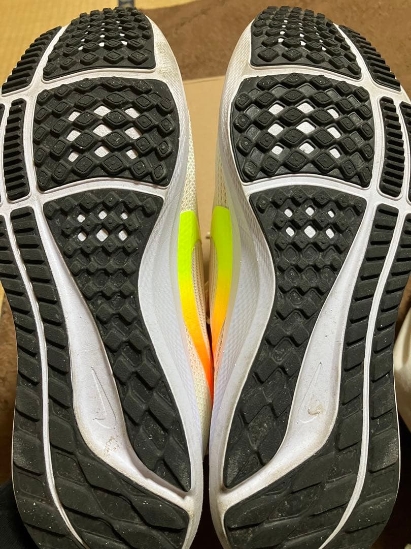 ナイキ　ペガサス40 【25cm】