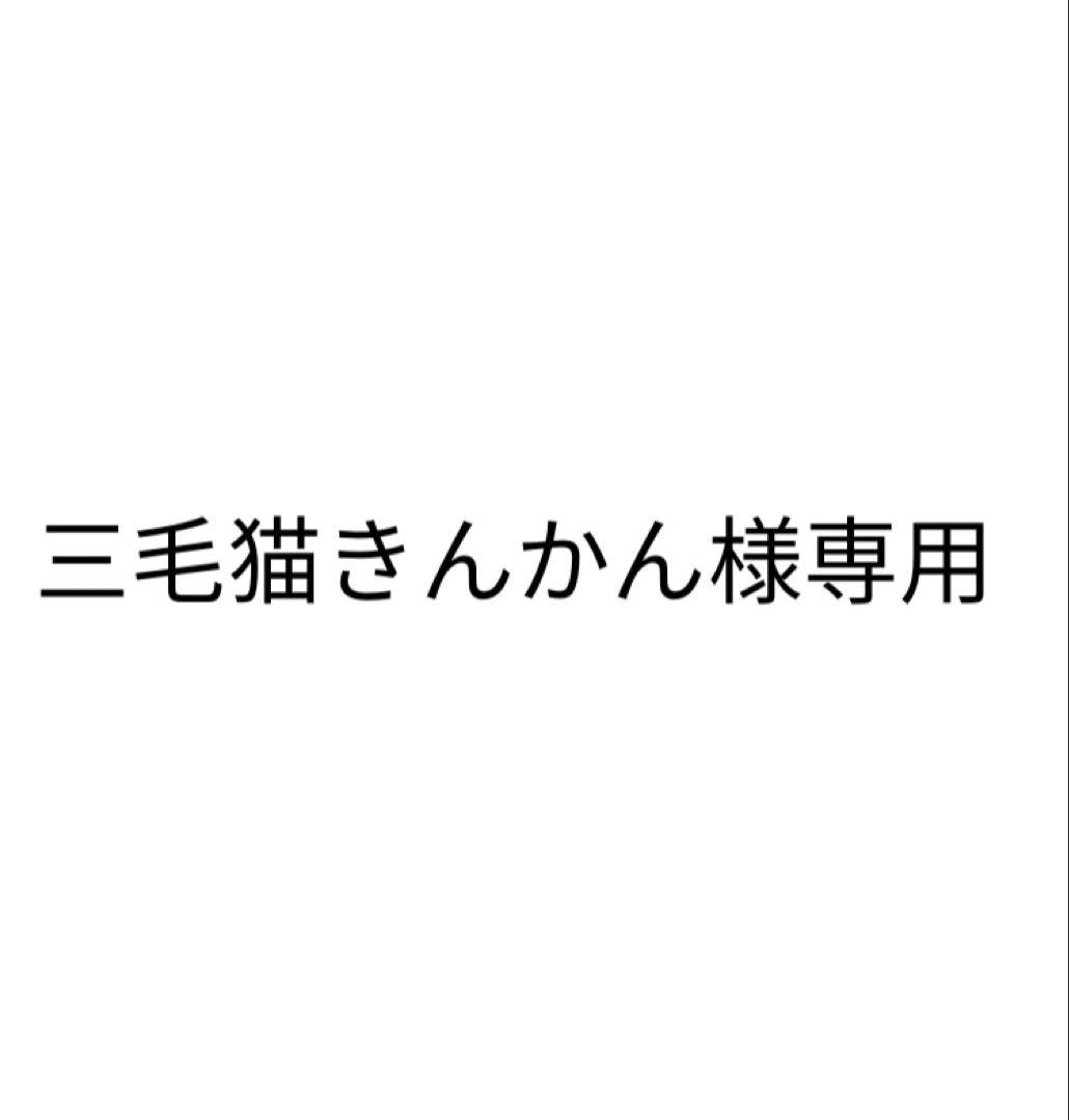 三毛猫きんかんロイヤルファミリーアクスタ　カレンダーセット