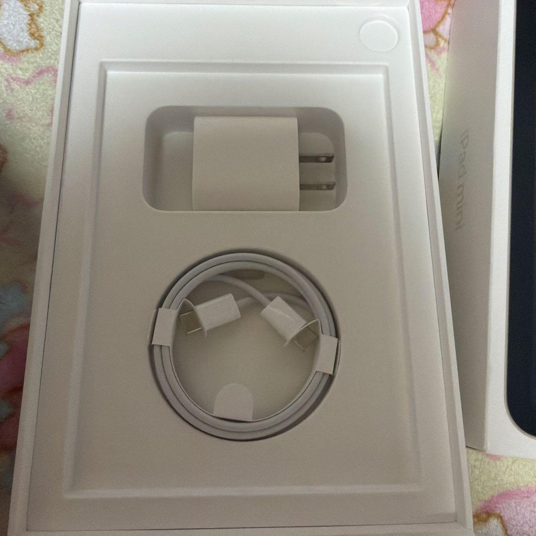 iPad mini 第6世代 スターライト 256gb 本体 wifiモデル