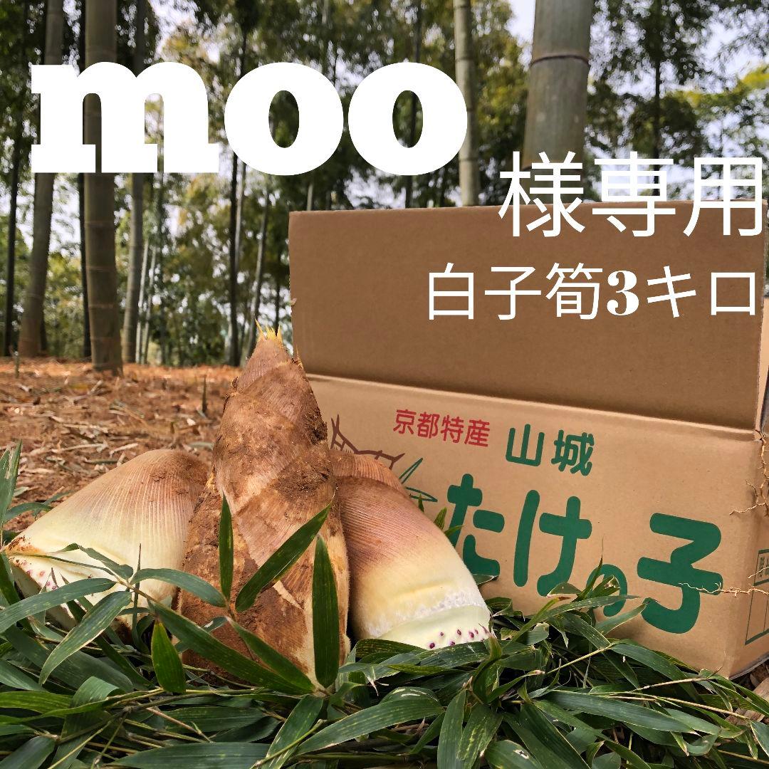 moo 白子筍3キロ