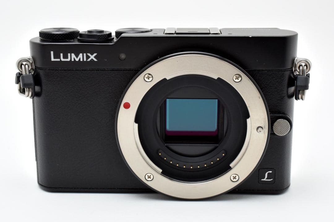 Panasonic LUMIX DMC-GM5 ブラック 本体とバッテリー