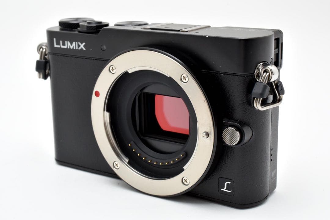 Panasonic LUMIX DMC-GM5 ブラック 本体とバッテリー