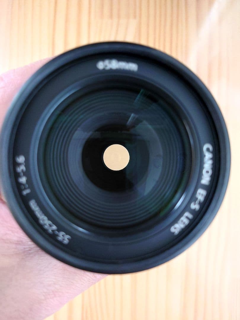 ★実用品★ Canon キャノン EF-S 55-250mm F4-5.6 IS