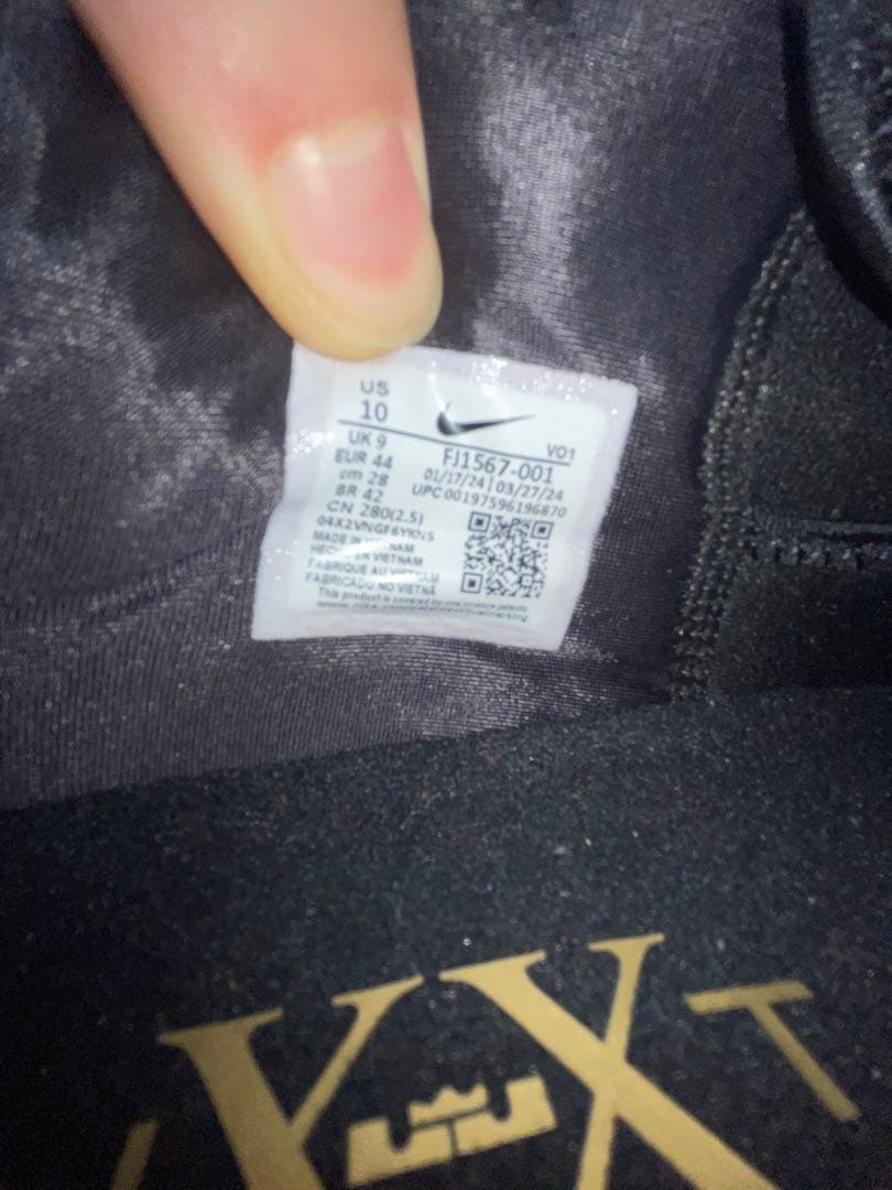 NIKE レブロン NXXT Gen AMPD EP 28.0cm