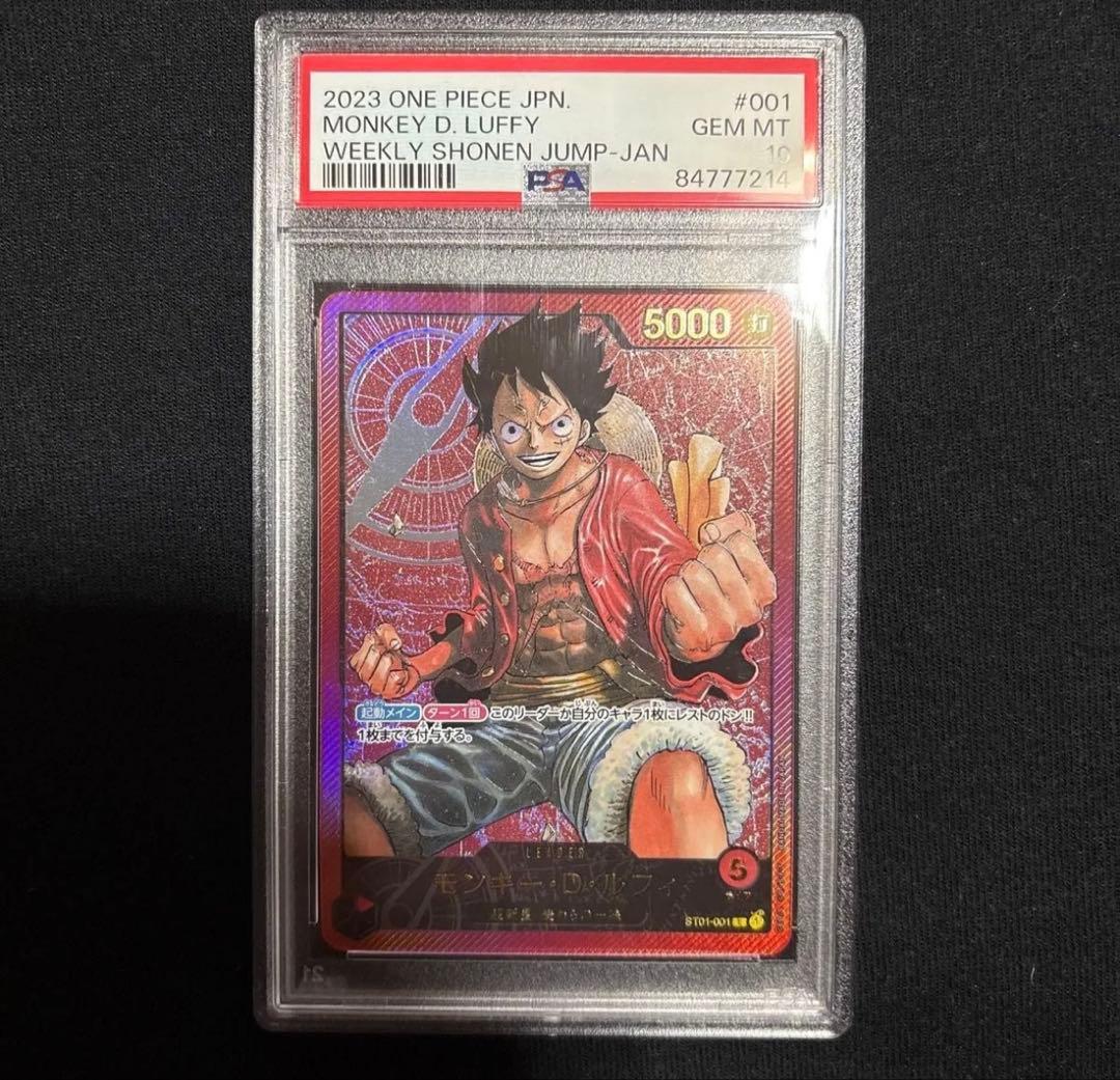 レカフィグルフィ ゾロ 2枚セット