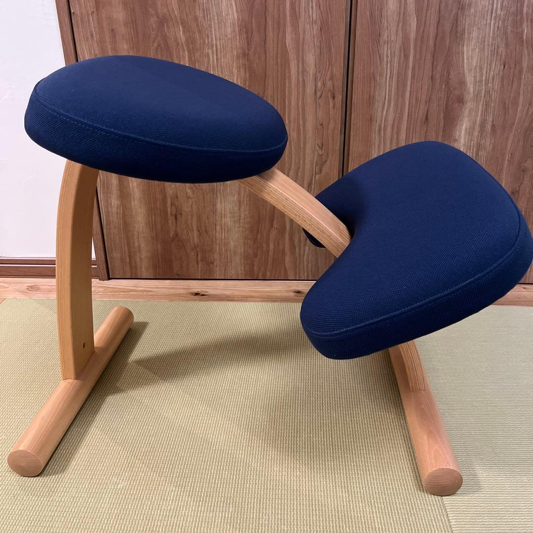 サカモトハウス バランスチェア イージー balans Easy【カバー付き】②