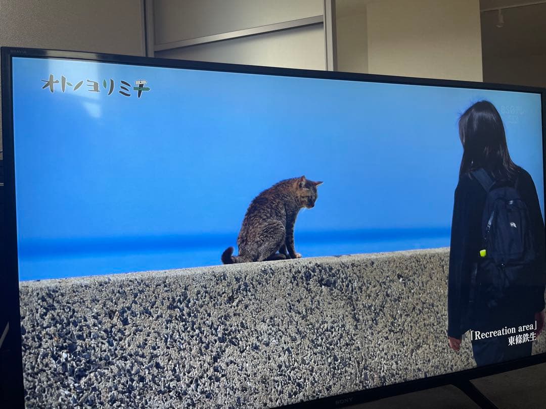 【破格‼️】SONY BRAVIA 4K 液晶テレビ 43インチ 2021年式
