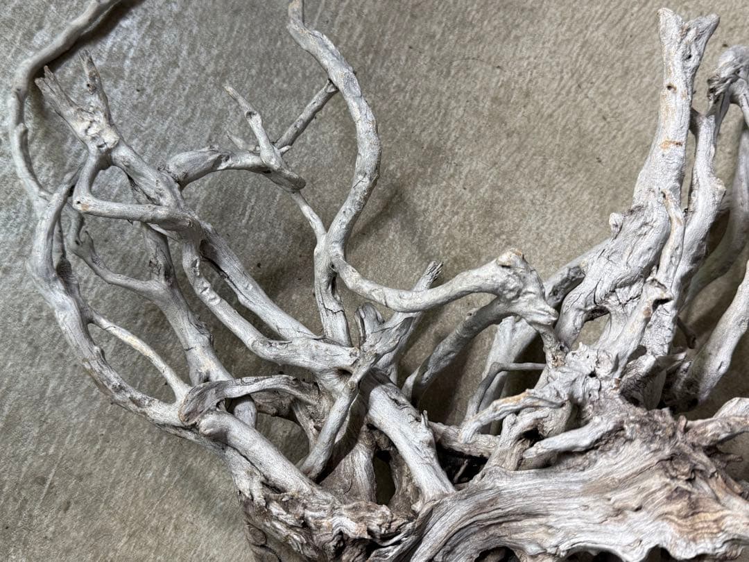 ADA ブランチウッド 白