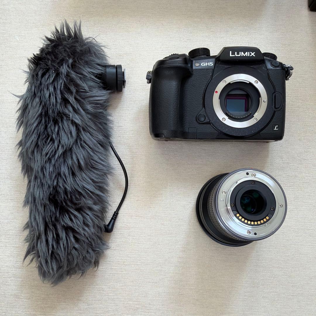 美品 LUMIX DC-GH5 ミラーレス一眼 カメラ 純正マイク 純正レンズ