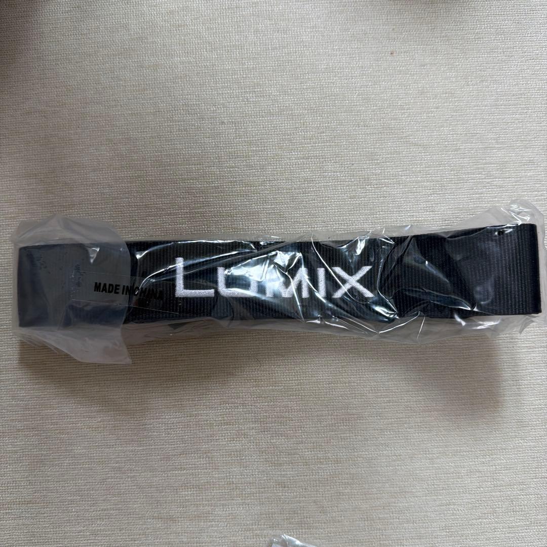 美品 LUMIX DC-GH5 ミラーレス一眼 カメラ 純正マイク 純正レンズ