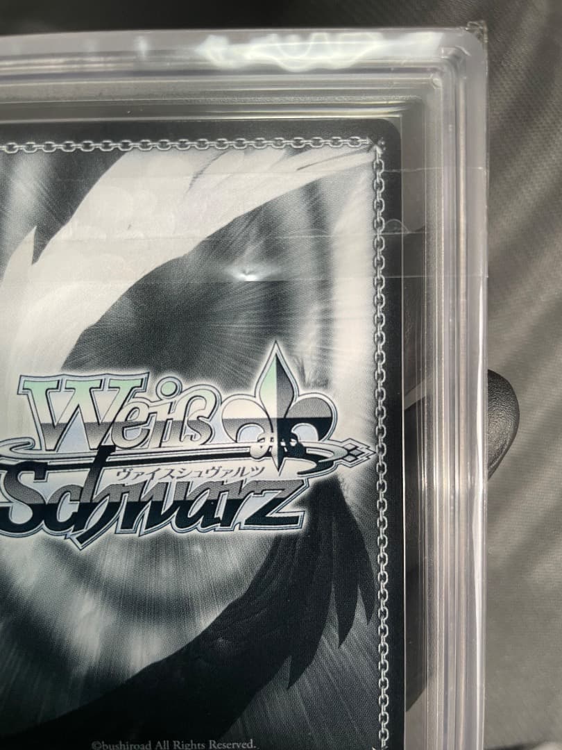 【ARS10＋】ラフィーsp