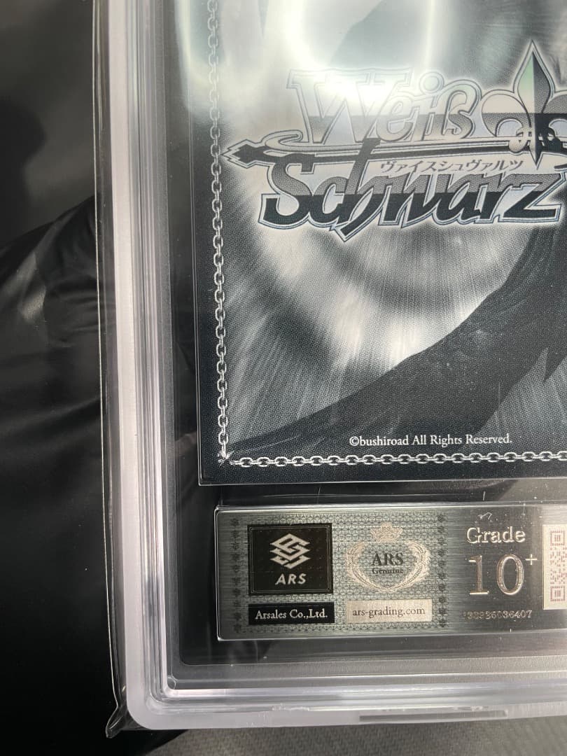 【ARS10＋】ラフィーsp