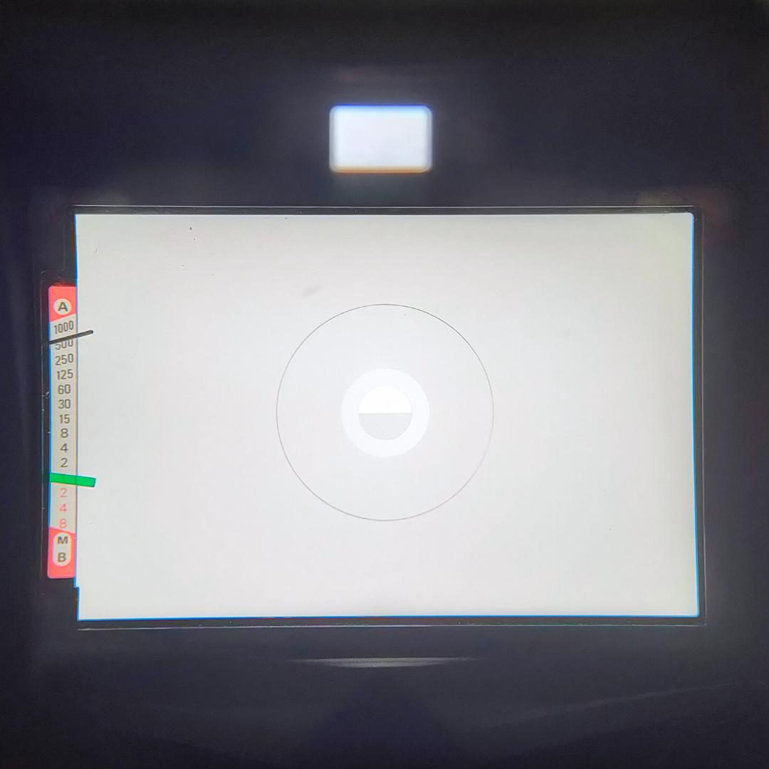 綺麗 Nikon FE Silver