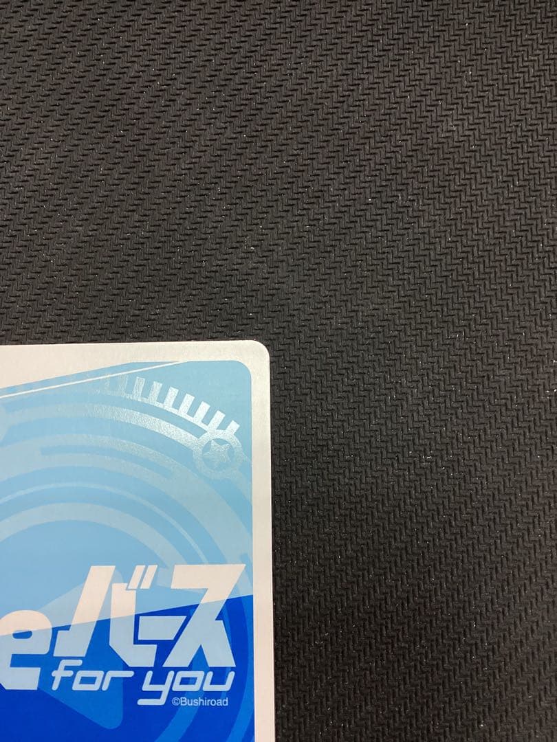 Reバース　ブルーアーカイブ ノノミ PP サイン