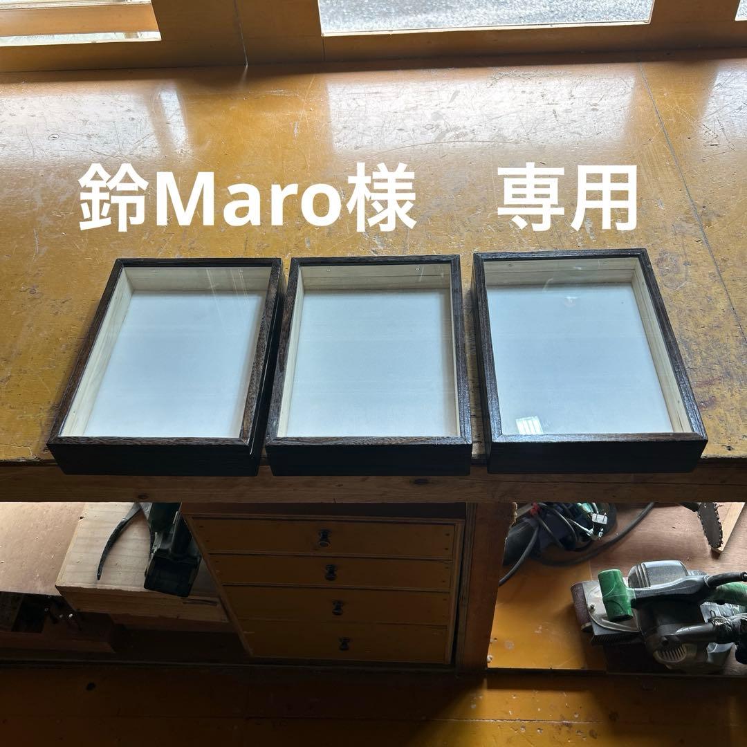 中型標本箱　3箱