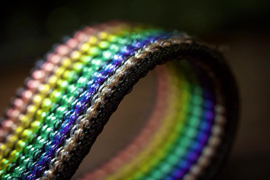 レンズ(単焦点) SIGMA 70mm F2.8 DG MACRO | Art 018