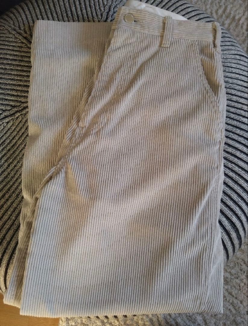 THE SHISHIKUI ペインターC コーディロイ 32 シシクイ