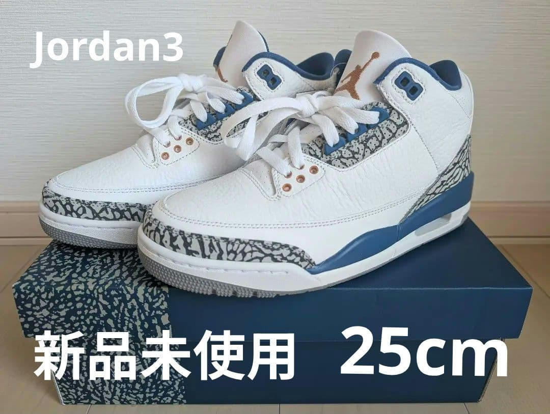 本日限り！新品未使用Air Jordan 3 ウィザーズ　25cm