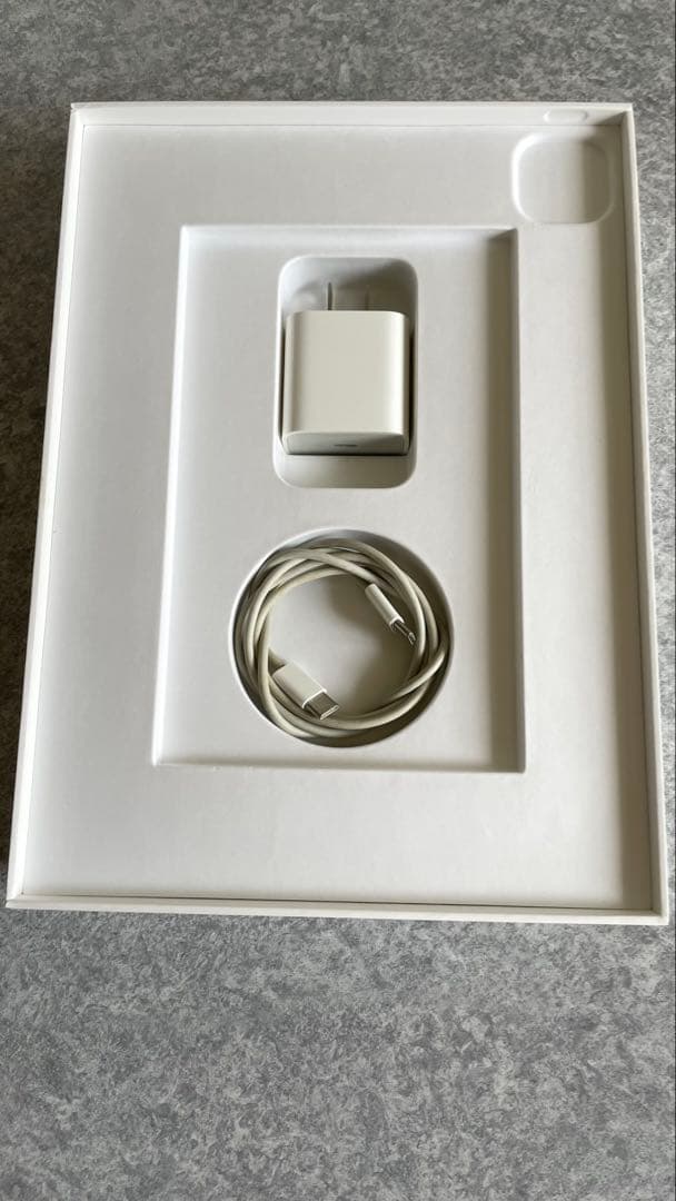 ipad pro 11インチ 第3世代 256GB wifiモデル