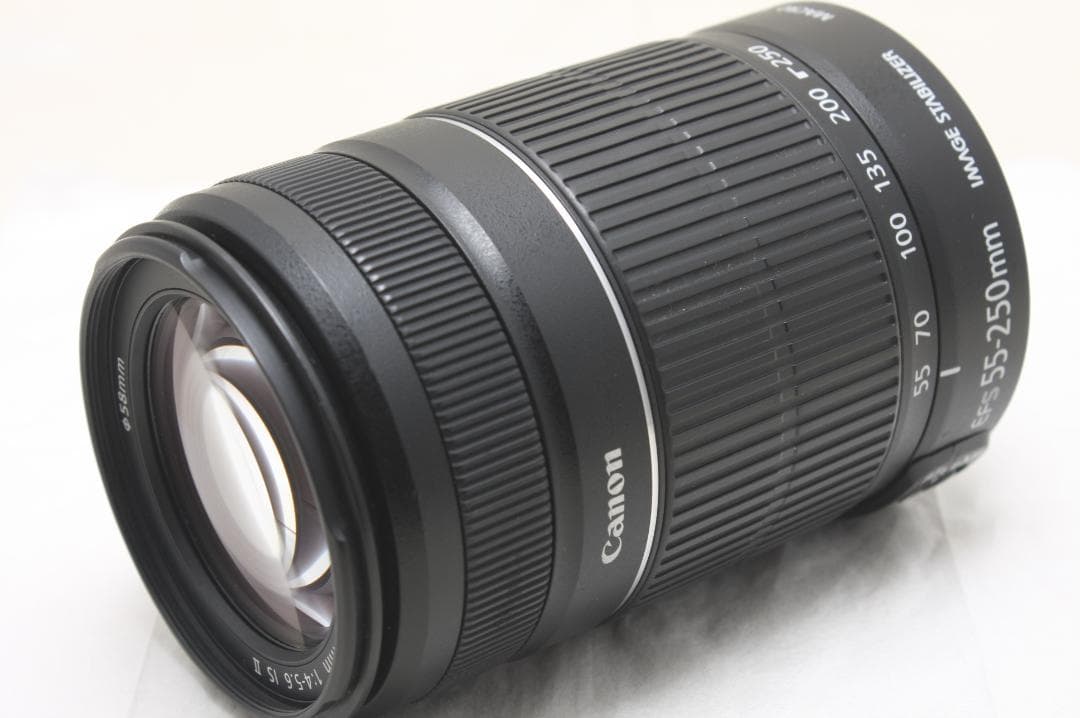 キヤノン EF-S 55-250mm F4-5.6 IS II 3865