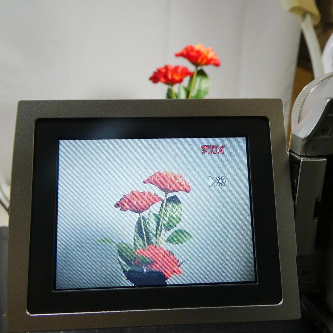 動作良好 パナソニック NV-DS1 MiniDVビデオカメラ ダビングに最適