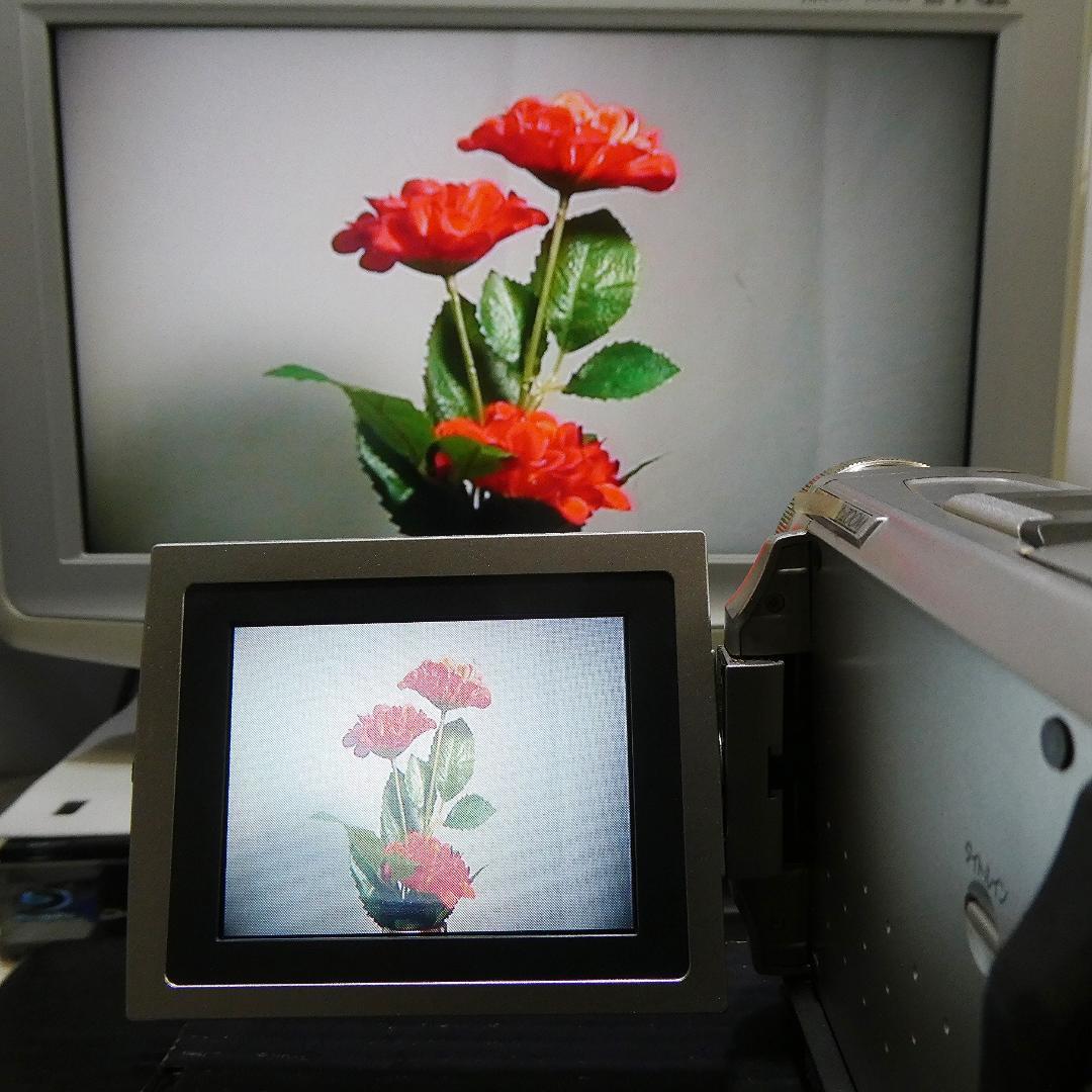 動作良好 パナソニック NV-DS1 MiniDVビデオカメラ ダビングに最適