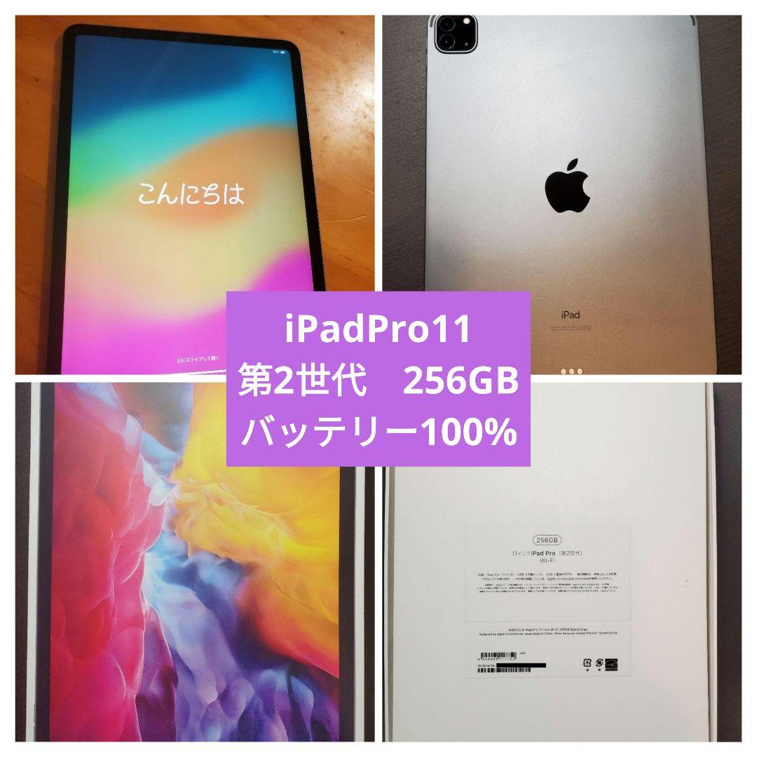 iPad Pro 11 第2世代 256GB バッテリー100%