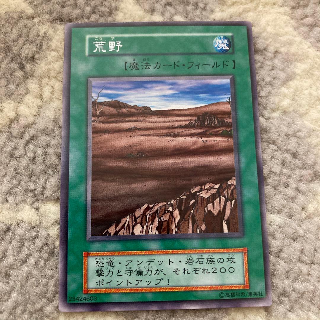 森、荒野、山、草原、海、闇　6枚セット