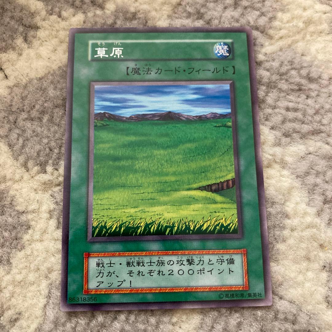 森、荒野、山、草原、海、闇　6枚セット