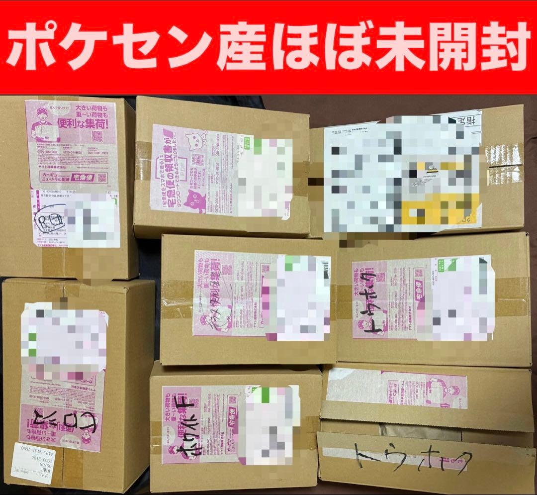 ポケセンオンライン横浜記念デッキ　トウホク　カナガワ　ヒロシマ　テラスタルフェス