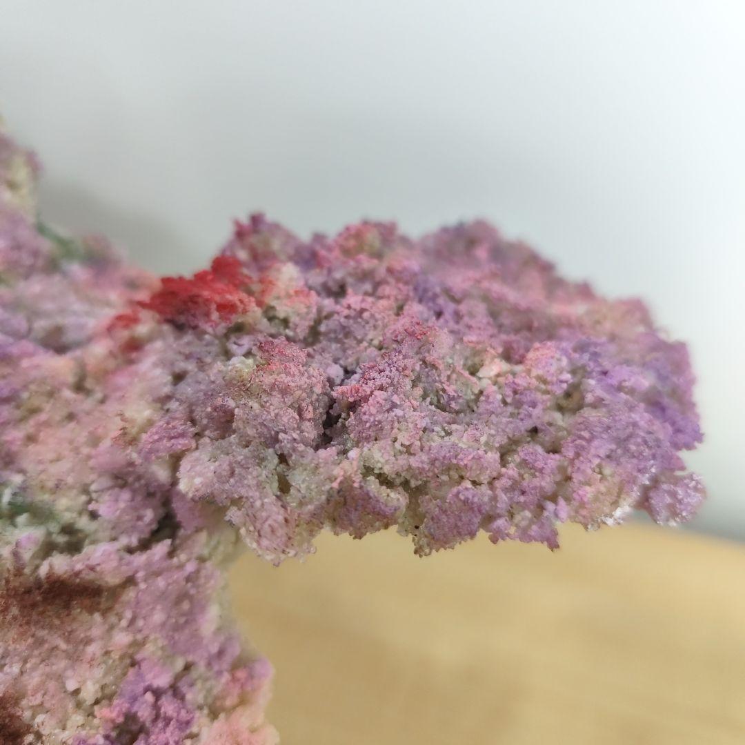 ❖新品アク抜き不要 人工ライブロック 60cm海水水槽用 レプリカ 多孔質安い5