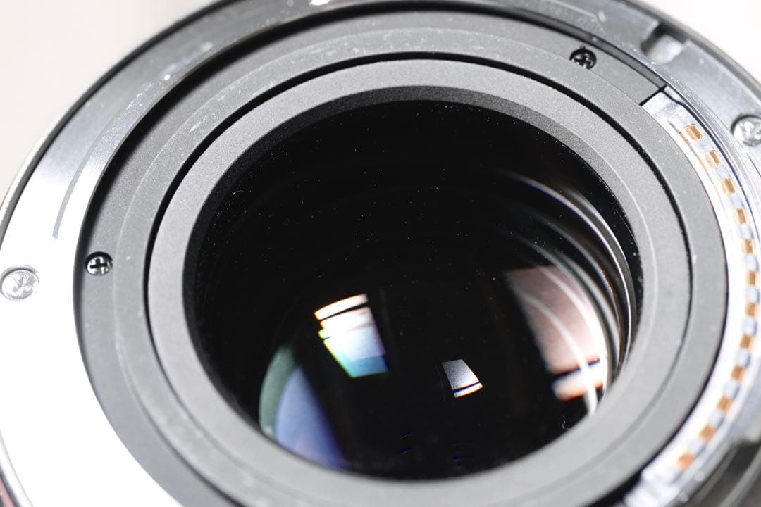 レンズ(単焦点) LEICA APO-MACRO-SUMMARIT-S 120mm f2.5