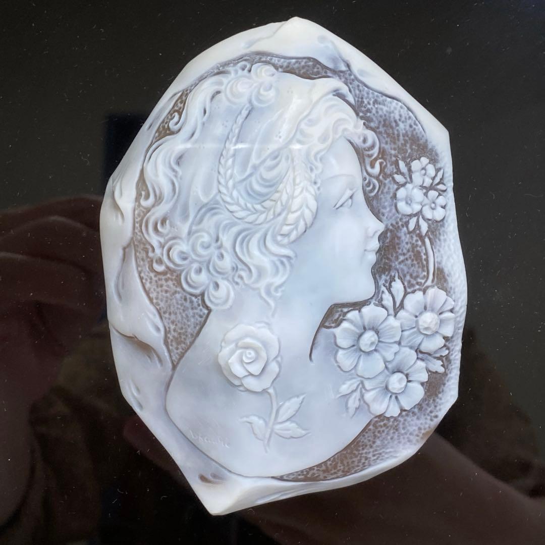 超特大　在銘　シェルカメオ　額装　トヒサコ　東さ7-1031☆1F