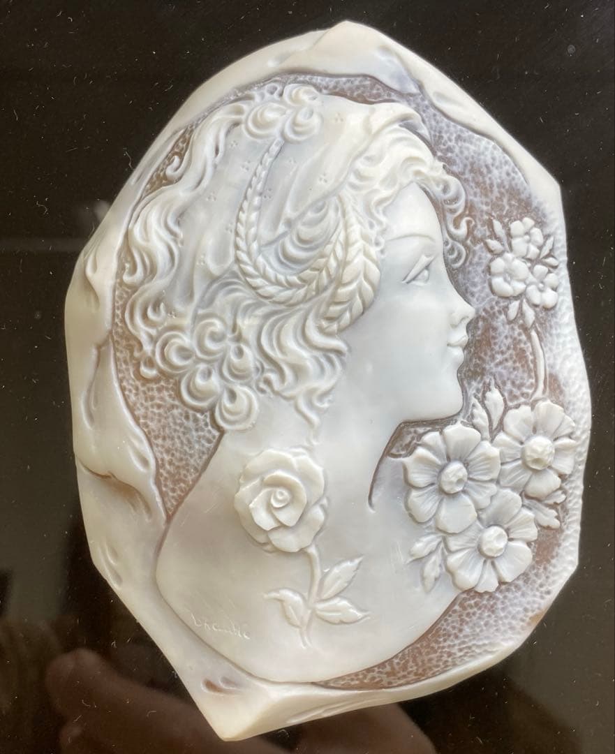 超特大　在銘　シェルカメオ　額装　トヒサコ　東さ7-1031☆1F