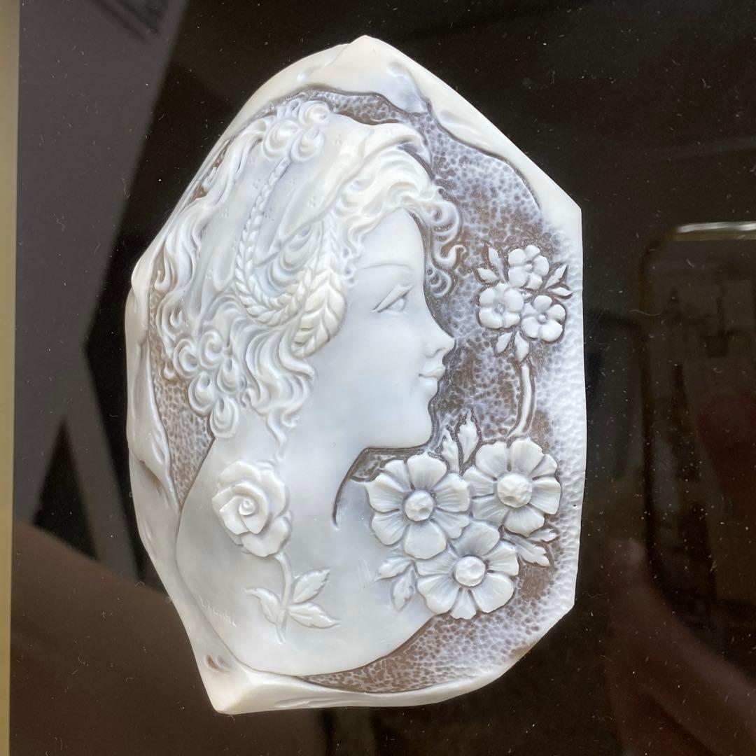 超特大　在銘　シェルカメオ　額装　トヒサコ　東さ7-1031☆1F