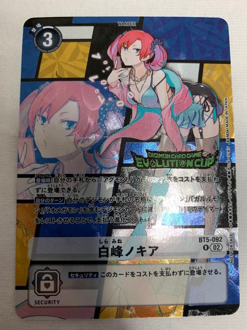 白峰ノキア　エボリューションカップ