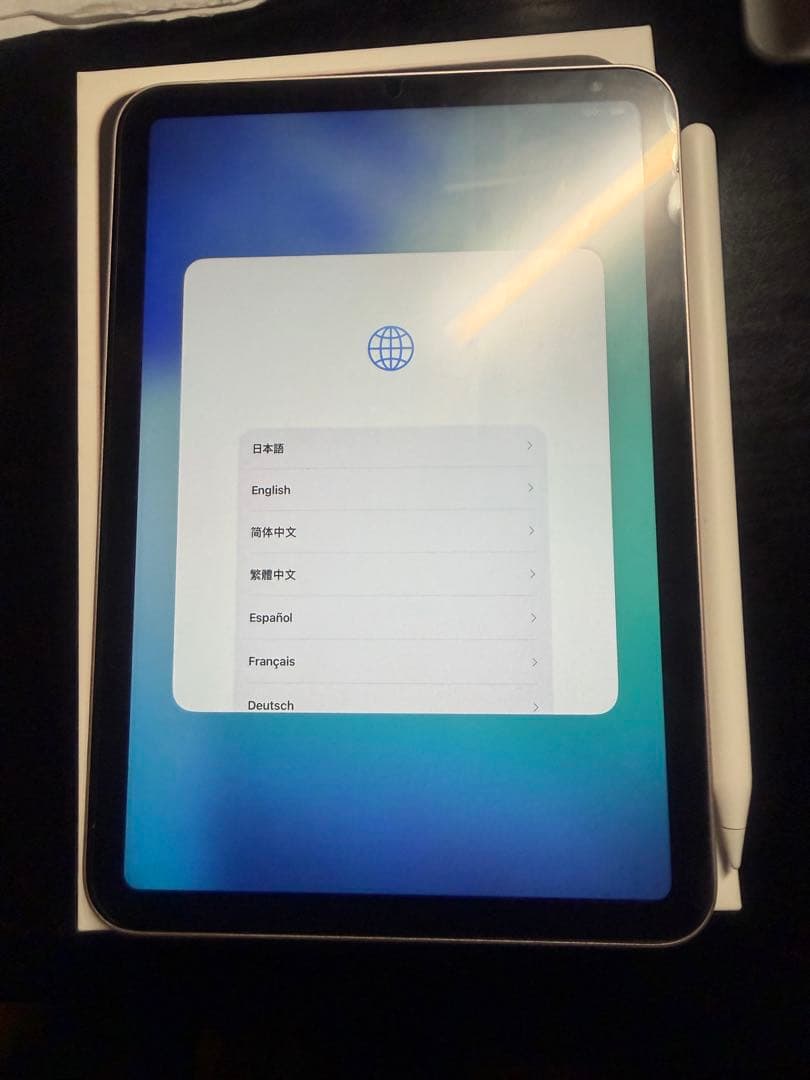 iPad本体 ipad mini 6 256gb