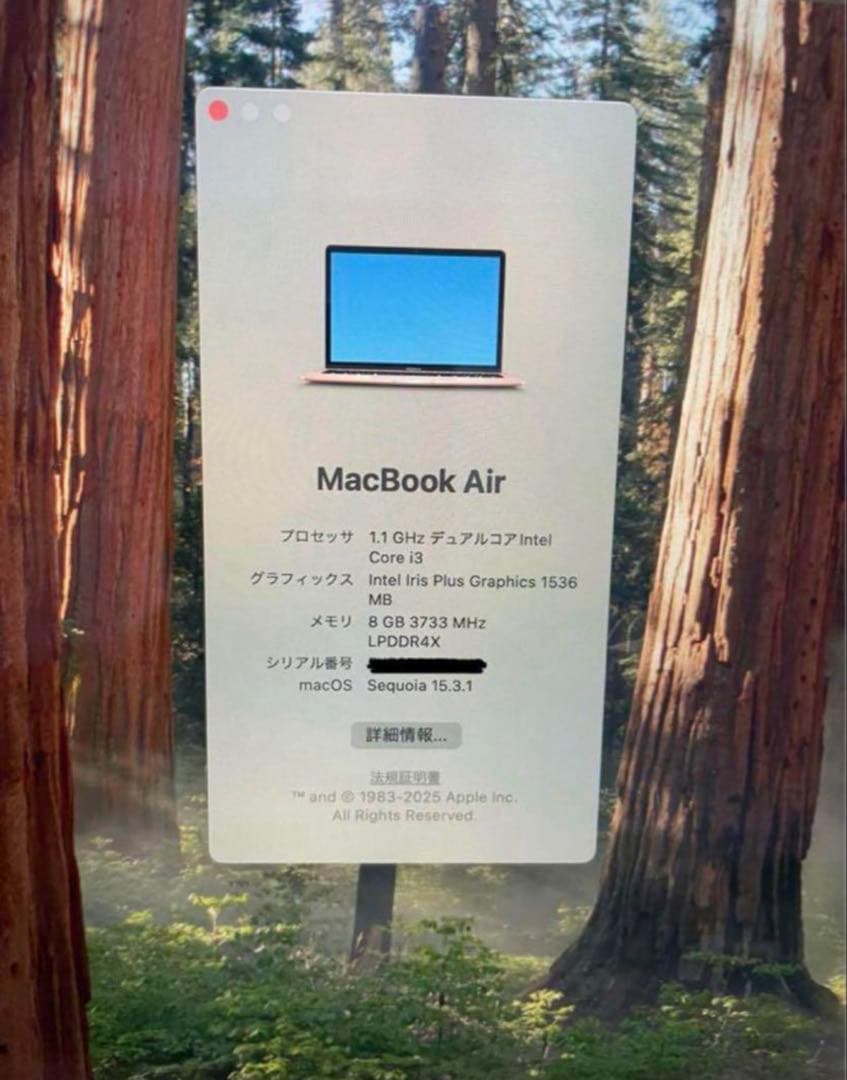 MacBook本体 MacBook Air 2020