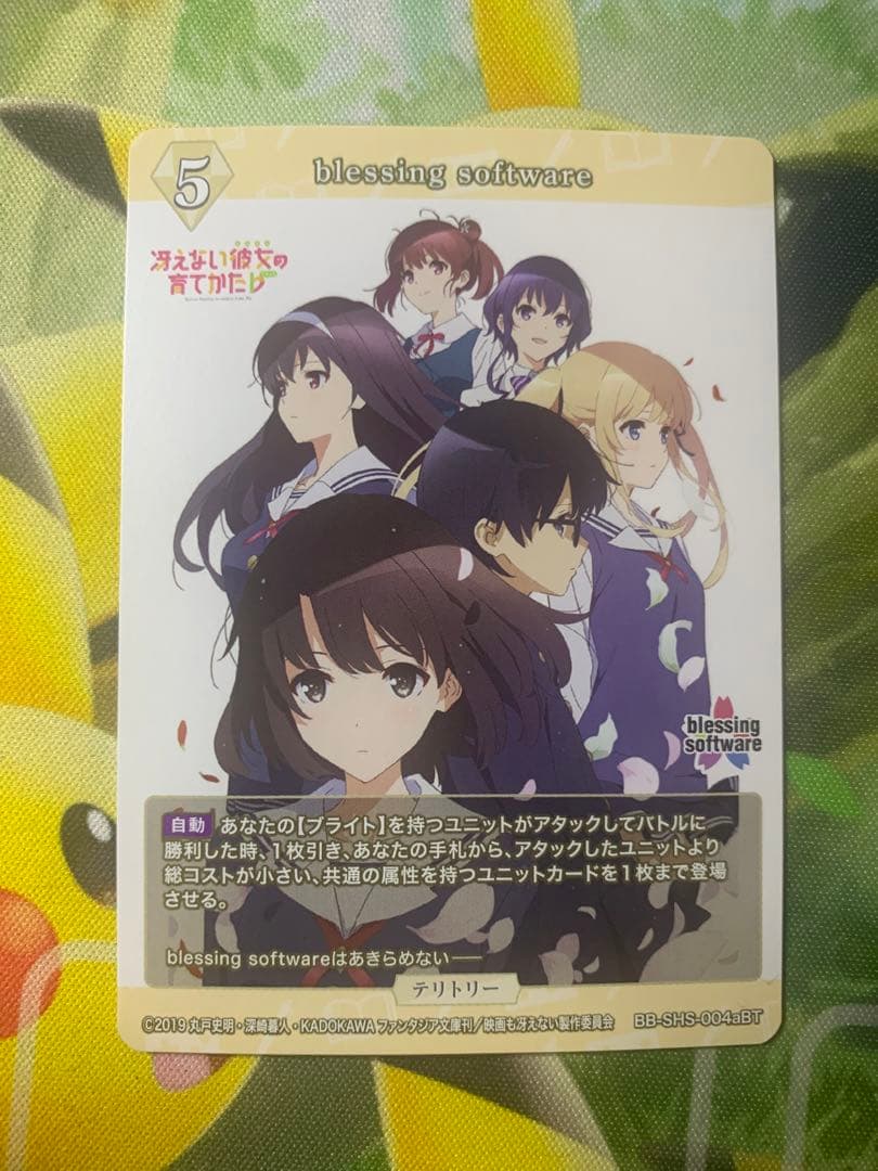 ビルディバイド　加藤恵　blessing software サイン