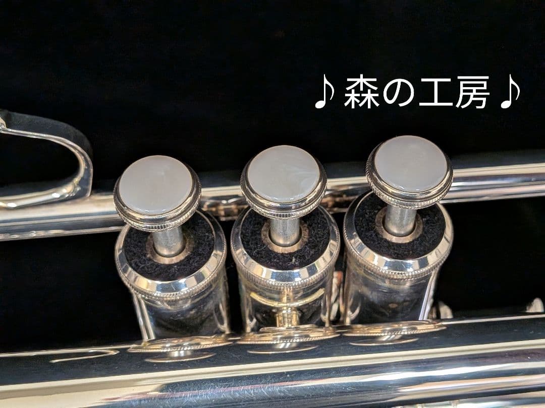 商談中【おこた】ヤマハ YTR4335G トランペット‼️