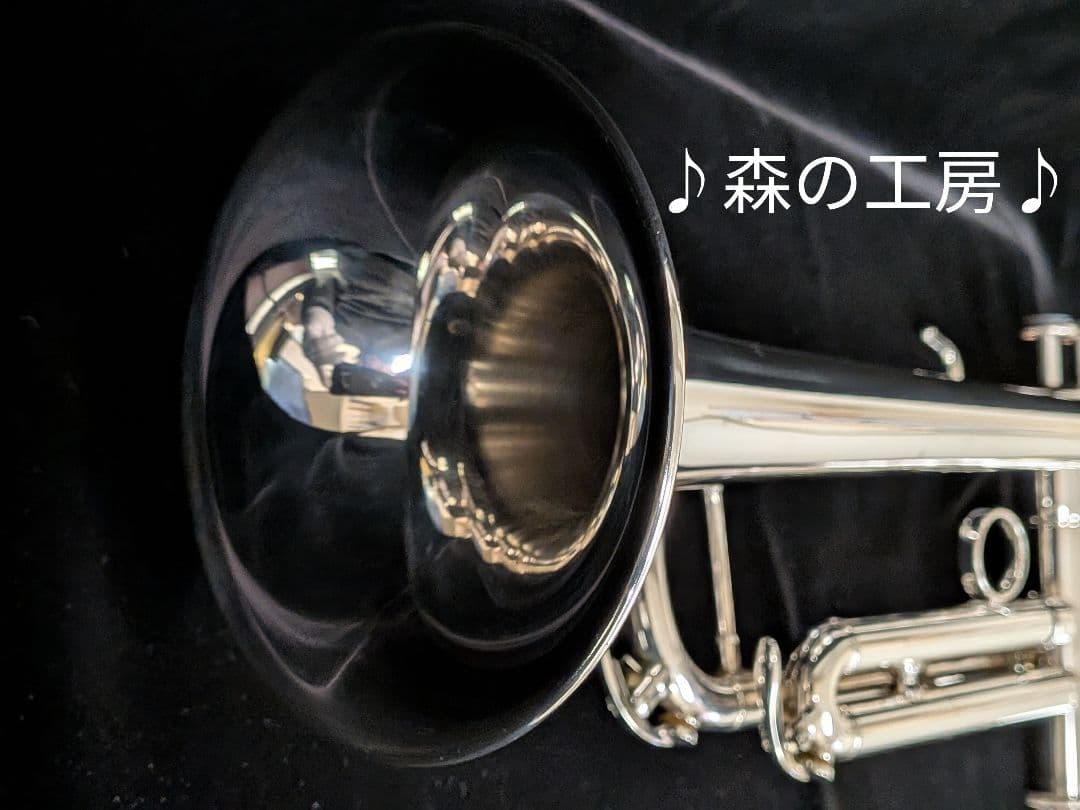 商談中【おこた】ヤマハ YTR4335G トランペット‼️