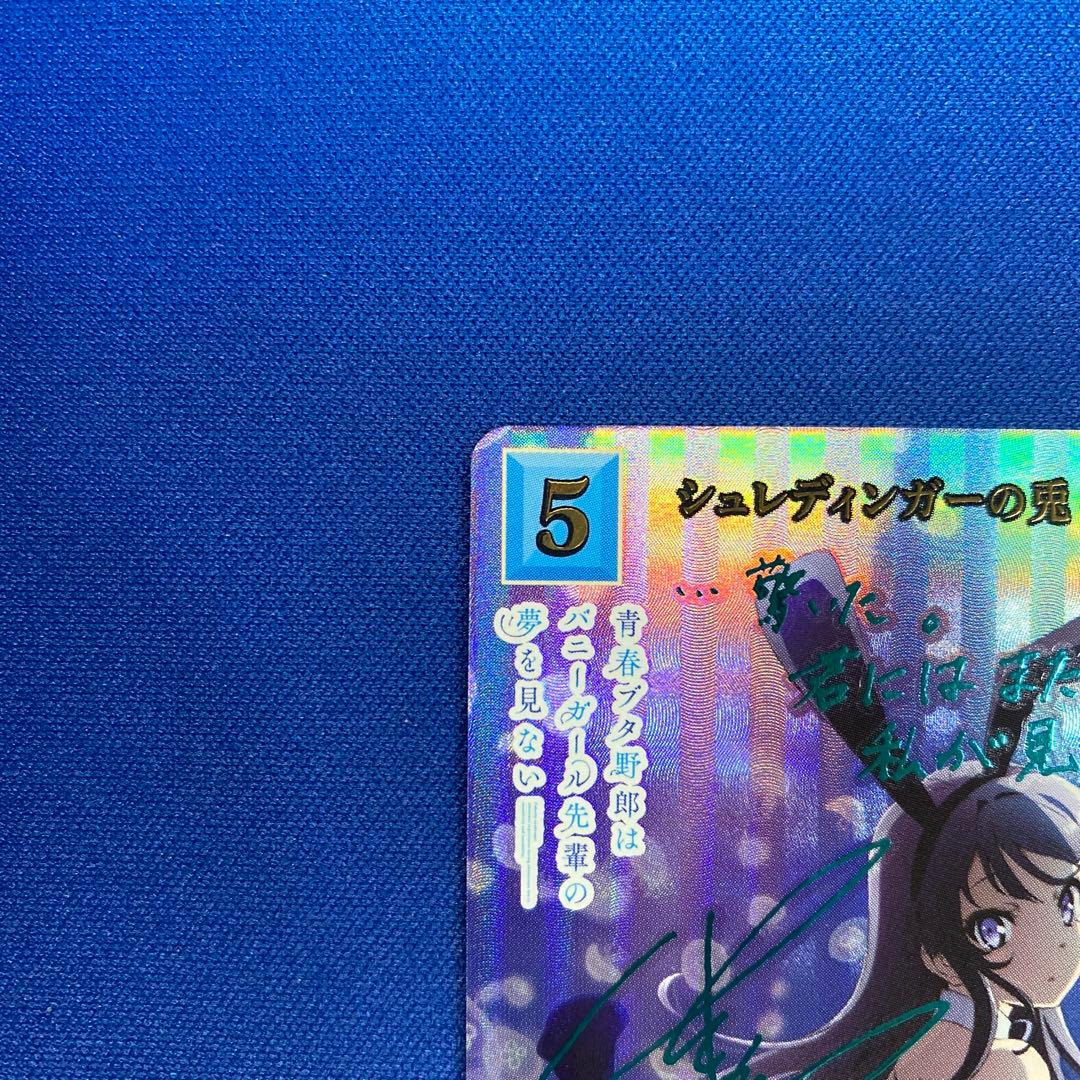 ビルディバイドブライト　シュレディンガーの兎　桜島麻衣　SC